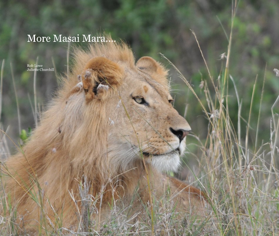 Ver More Masai Mara.... por Rob Lowe /Juliette Churchill