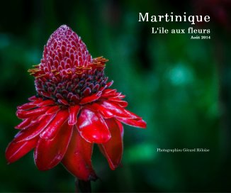 Martinique L'ile aux fleurs Août 2014 book cover