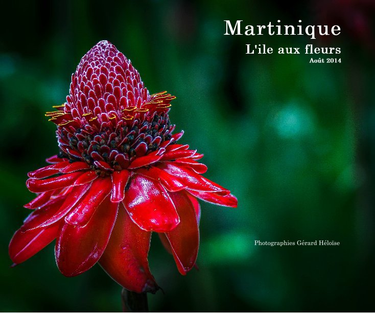 Bekijk Martinique L'ile aux fleurs Août 2014 op Gérard Héloïse