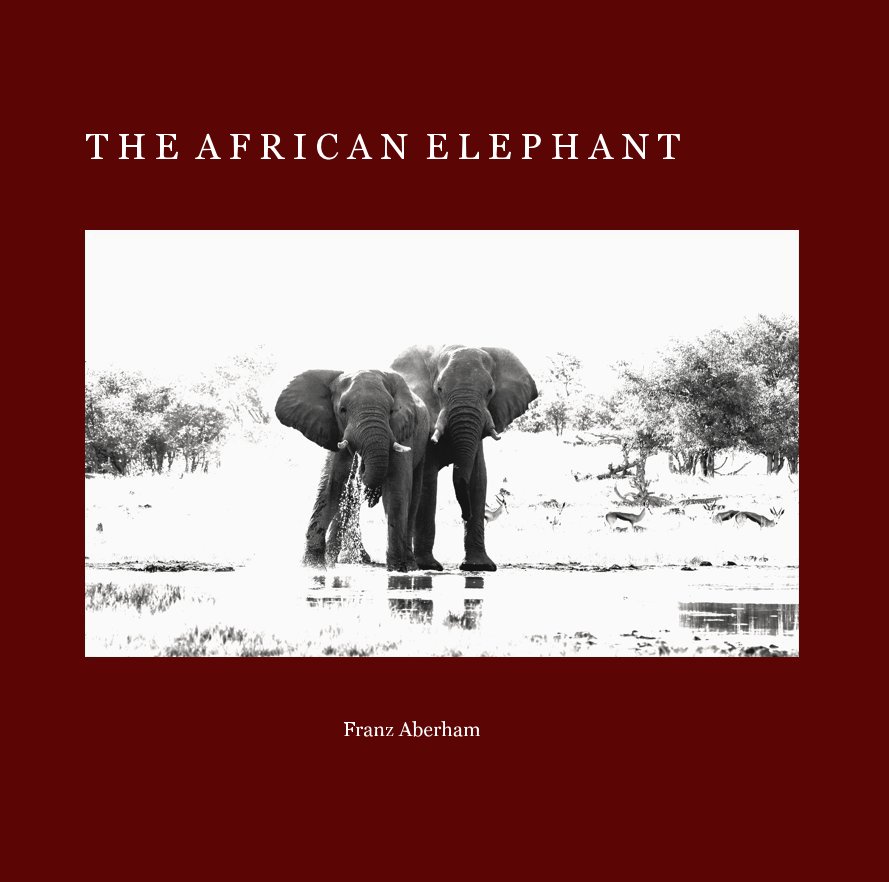 View Elephants by Franz Aberham