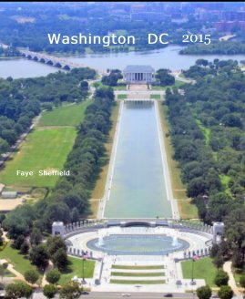 Washington DC 2015 book cover