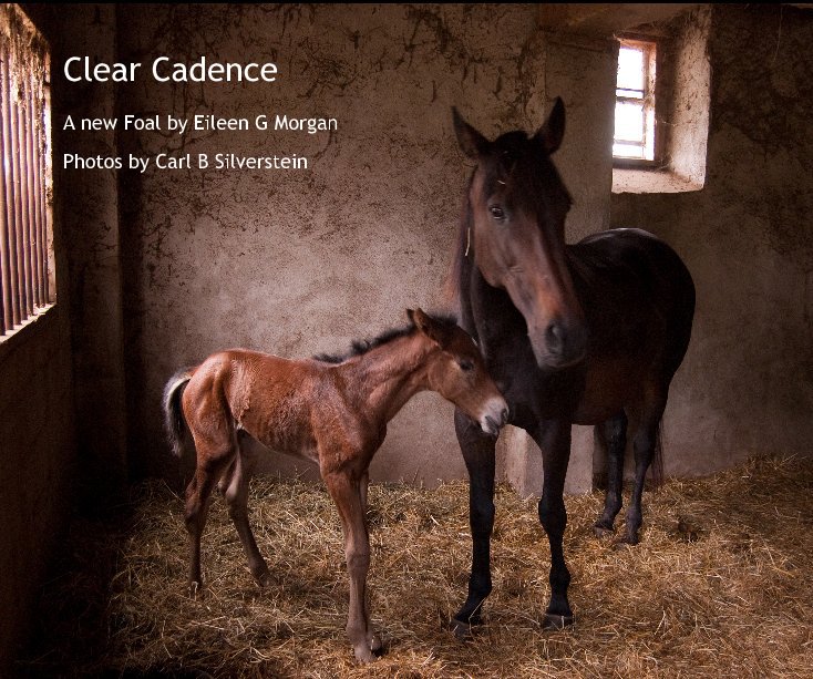 Ver Clear Cadence por Photos by Carl B Silverstein