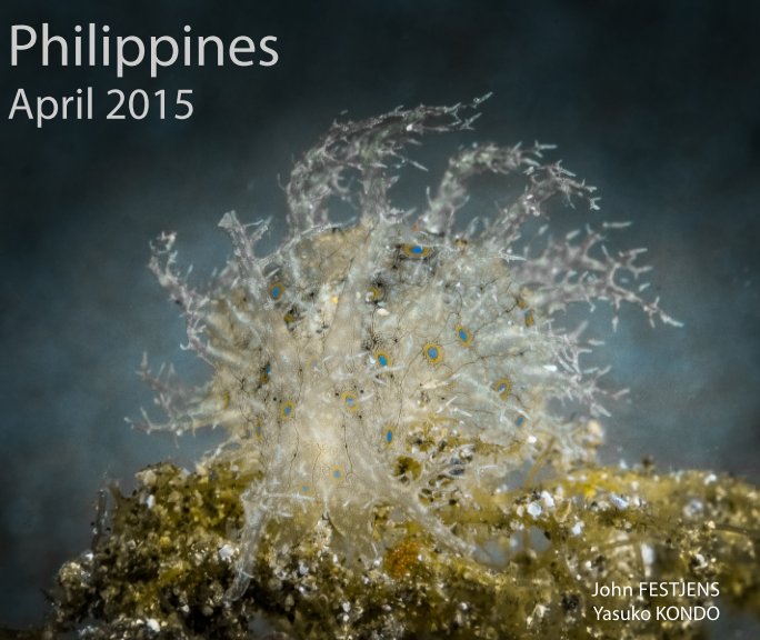 View Philippines - Anilao - April 2015 (Softcover) by John FESTJENS