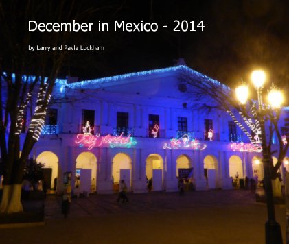 December in Mexico - 2014 book cover