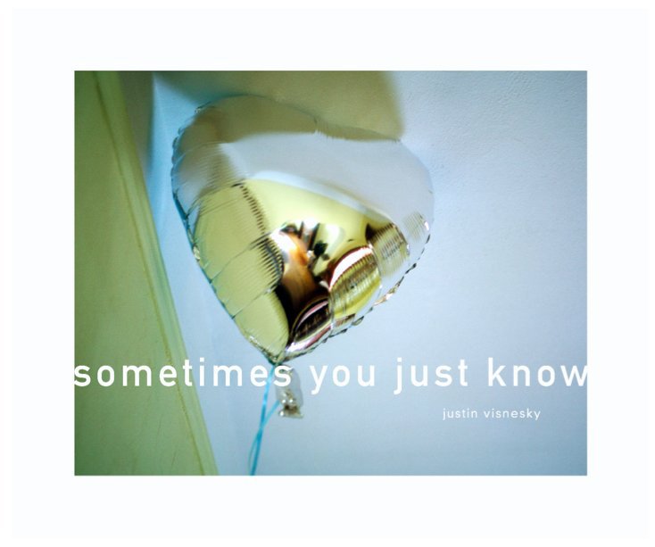 Ver Sometimes You Just Know por Justin Visnesky