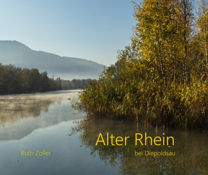 View Alter Rhein bei Diepoldsau by Ruth Zoller-Beier