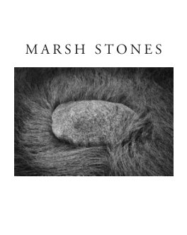 Marsh Stones of Hammonasset book cover