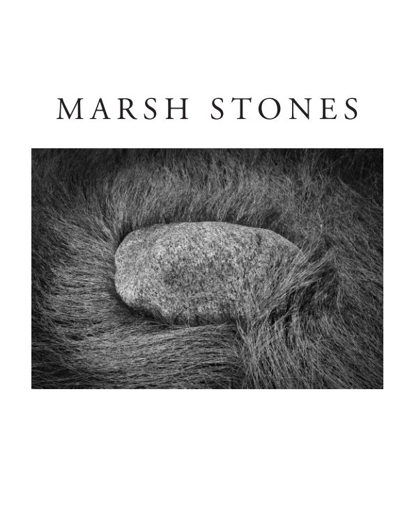 Ver Marsh Stones of Hammonasset por Michael Fanelli