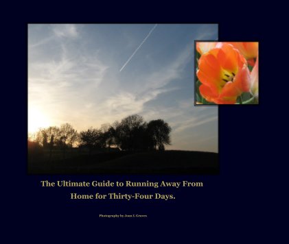 The Ultimate Guide to Running Away From Home for Thirty-Four Days. book cover