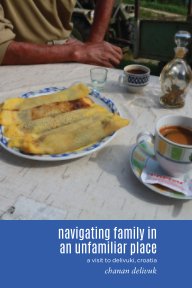 Navigating Family book cover