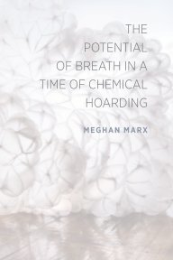 The Potential of Breath book cover