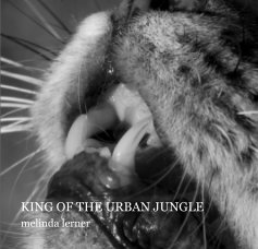 King of the Urban Jungle book cover