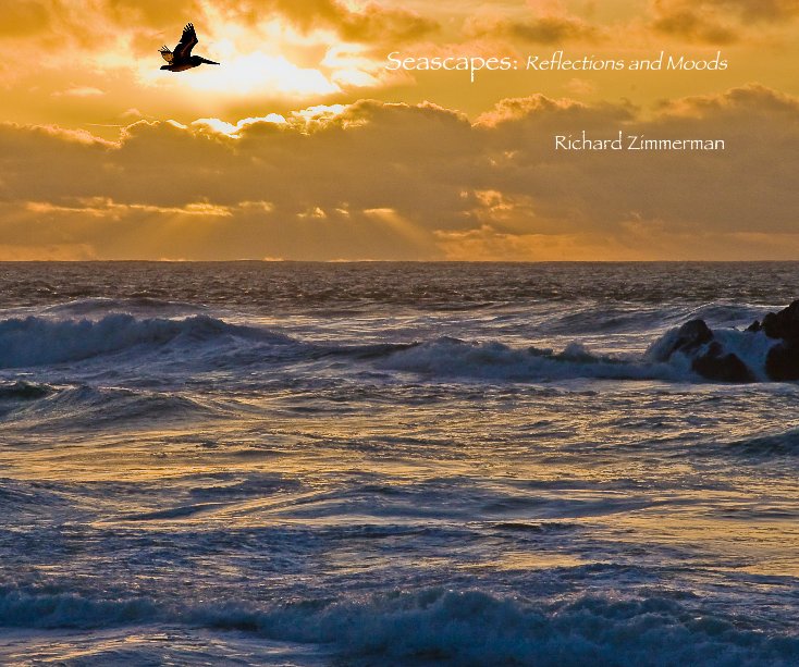 Visualizza Seascapes: Reflections and Moods di Richard Zimmerman
