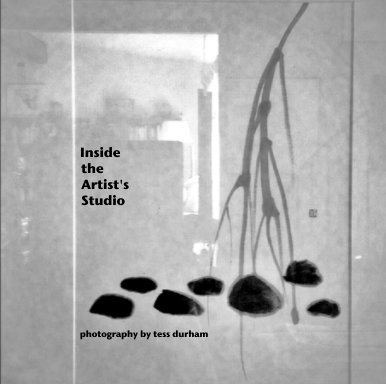 Inside                the                Artist's                Studio book cover