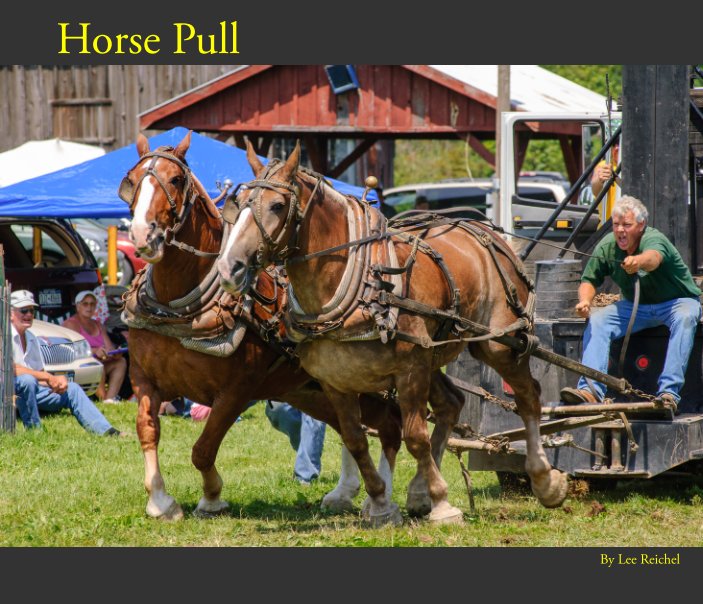 View Horse Pull by Lee Reichel
