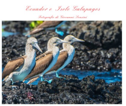 Ecuador e Isole Galapagos book cover