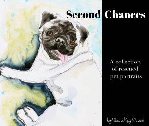 Second Chances book cover