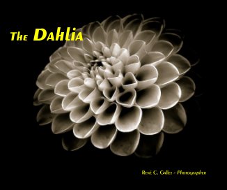 The Dahlia book cover