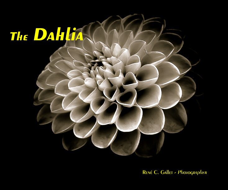 The Dahlia nach René C. Gallet - Photographer anzeigen