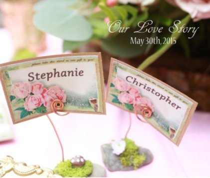 Stephanie & Christopher's Wedding Day book cover