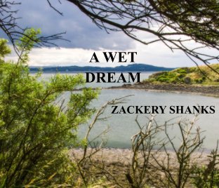 A WET DREAM book cover