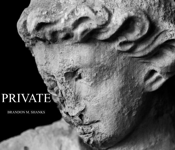 View PRIVATE by Brandon M. Shanks