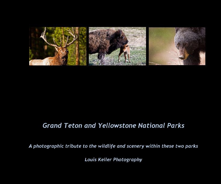 View Grand Teton and Yellowstone National Parks by Louis Keller Photography