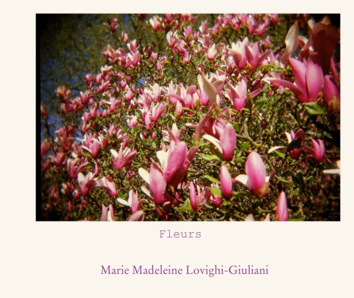 View Fleurs by Marie Madeleine Lovighi-Giuliani