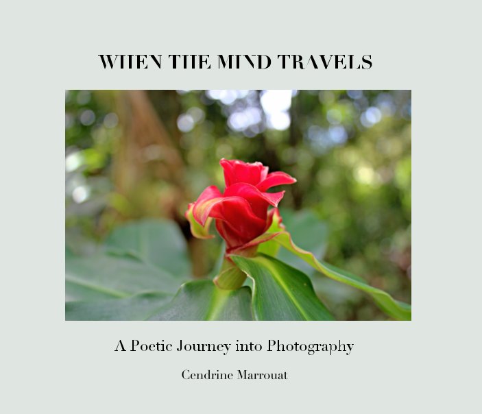 View When The Mind Travels by Cendrine Marrouat