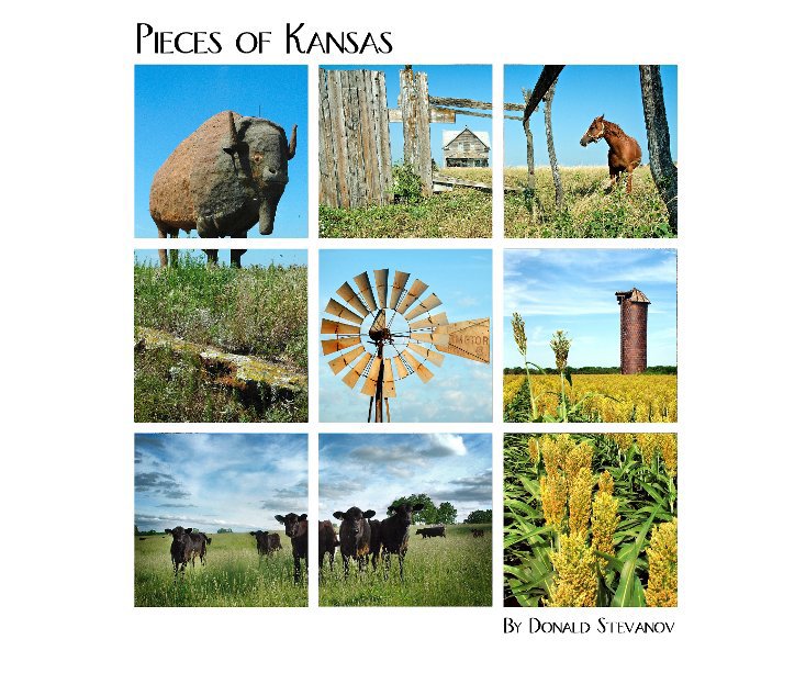 View Pieces Of Kansas by Donald Stevanov