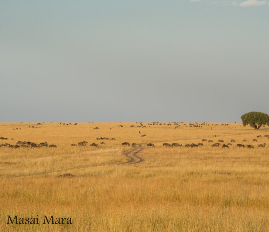 Ver Masai Mara, A Photo Memoir por K Narasimhan