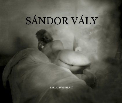 Sándor Vály book cover