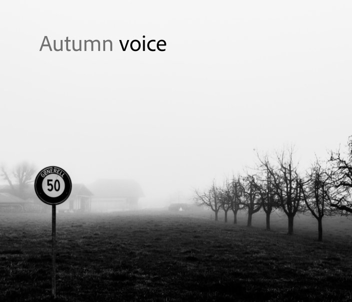 View Autumn voice by Josef Bürgi