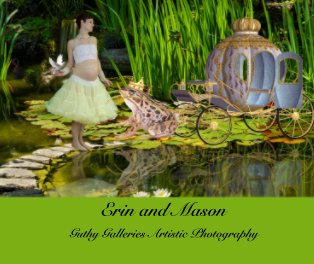 Erin and Mason book cover