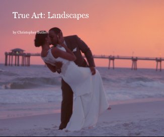 True Art: Landscapes book cover