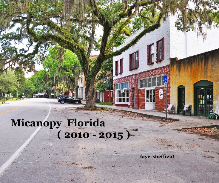 Visualizza Micanopy Florida ( 2010 - 2015 ) di faye sheffield