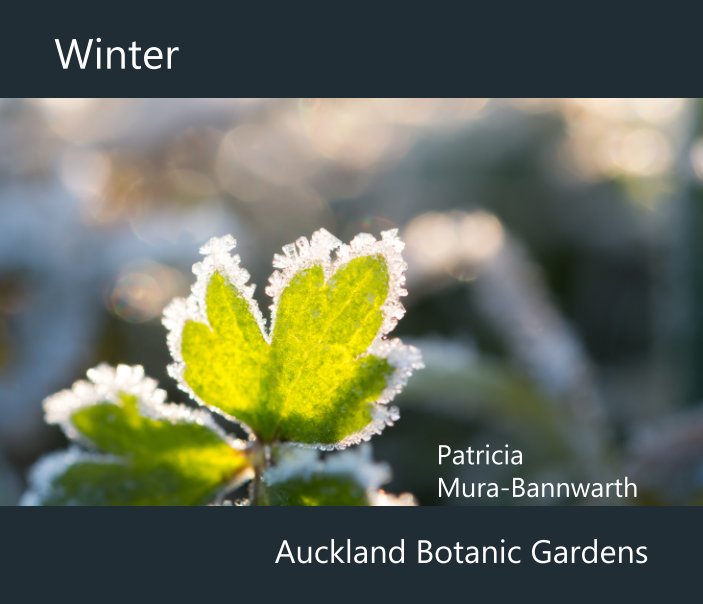 Ver Winter por Patricia Mura Bannwarth