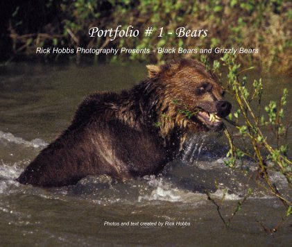 Portfolio # 1 - Bears book cover