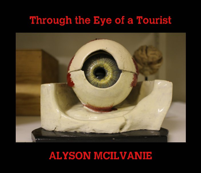 View Through the Eye of a Tourist by ALYSON MCILVANIE