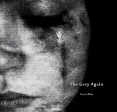 The Grey Again book cover
