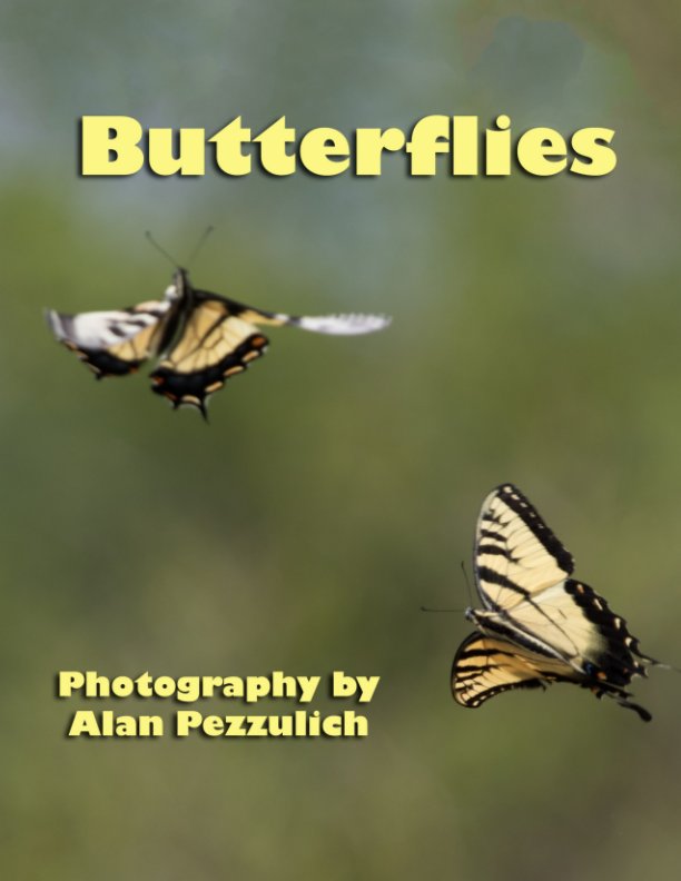 View Butterflies by Alan Pezzulich