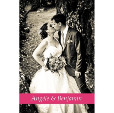 Wedding Sancerre book cover