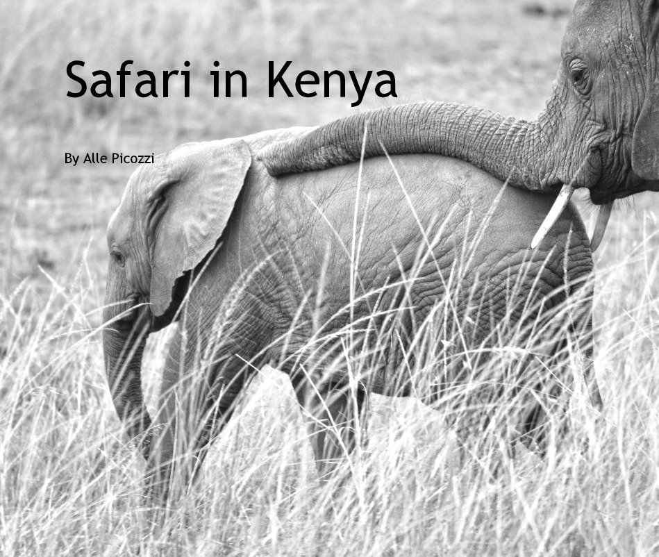 View Safari in Kenya by Alle Picozzi