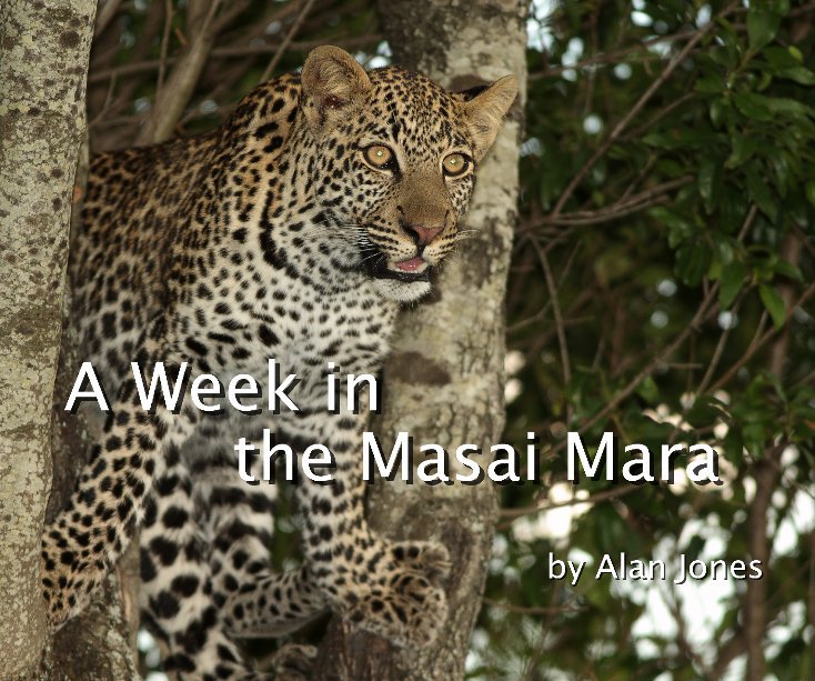 View A Week in the Masai Mara by Alan Jones