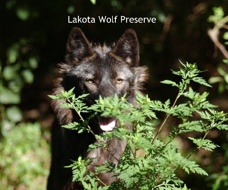 View Lakota Wolf Preserve by Robyn C. Stein