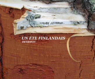 UN ETE FINLANDAIS book cover