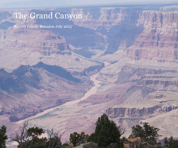 View The Grand Canyon by Annette Lazarte