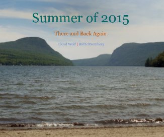 Summer of 2015 book cover