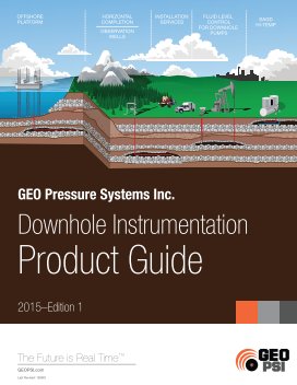 GEO PSI 2015 Downhole Instrumentation Guide book cover