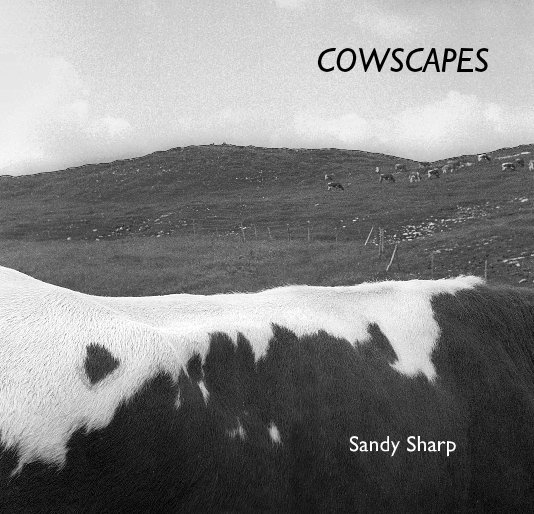 View COWSCAPES by Sandy Sharp